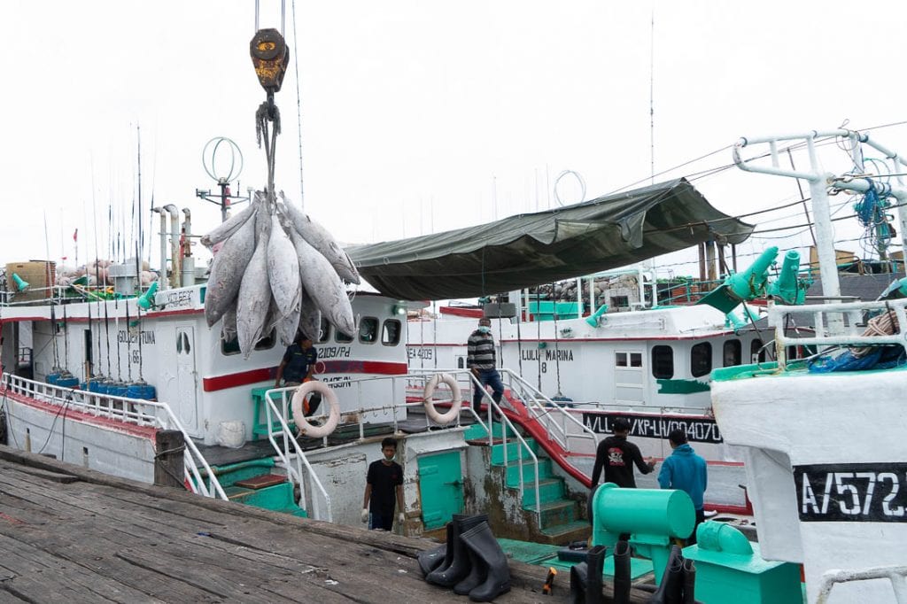 Kapal Tuna Longline