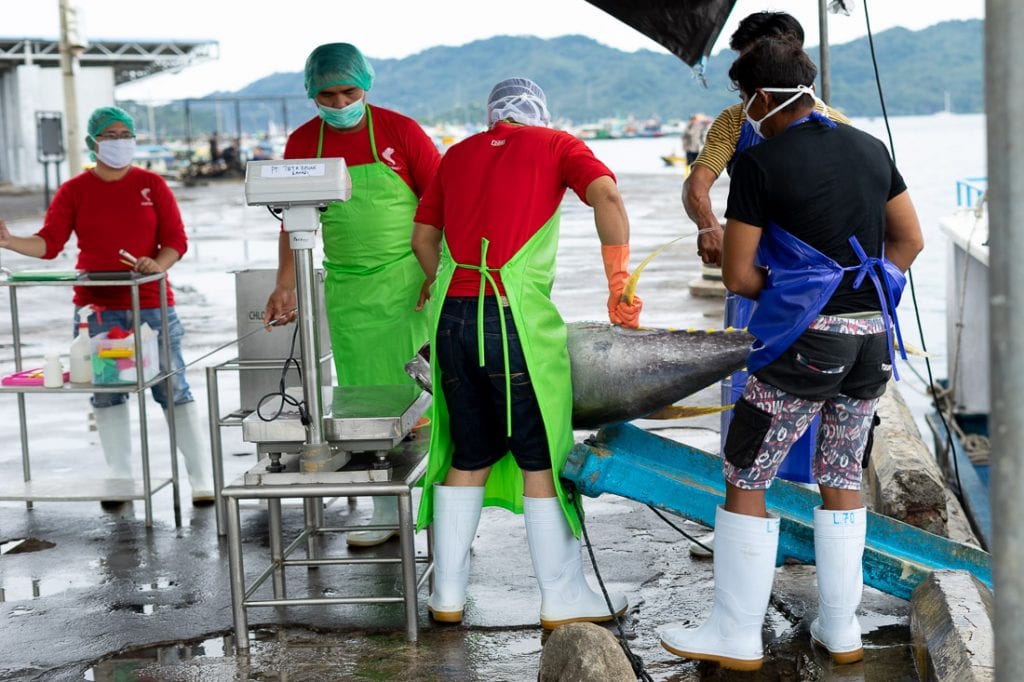 Penanganan Tuna Bitung_2