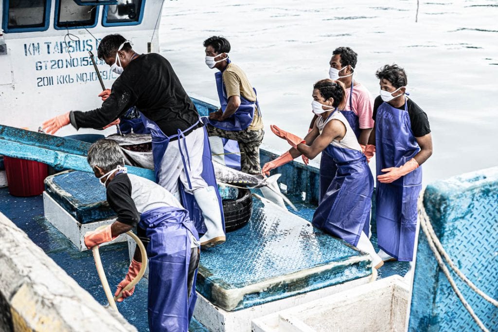 Unloading Tuna 2