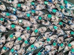 Status dan Arah Pengelolaan Perikanan Global