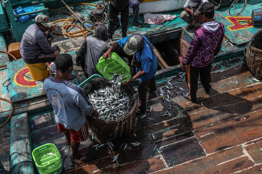 Ikan Lemuru Merupakan Target Utama Kapal Slerek