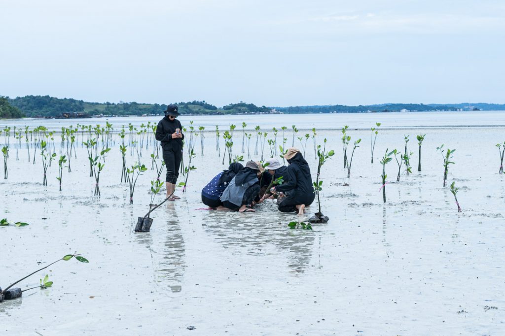 ISKINDO KEPRI-16
