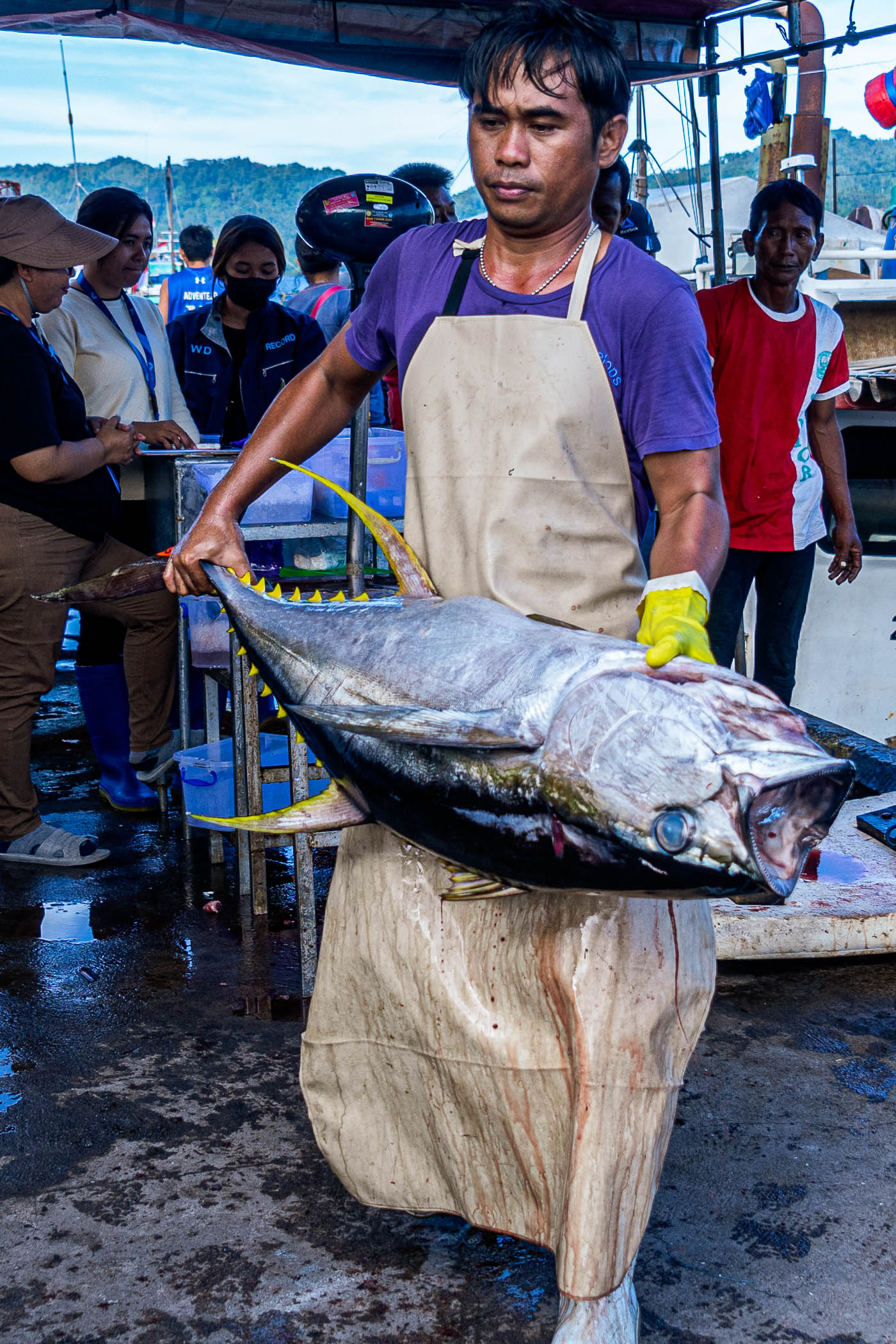 Bongkar Tuna Bitung