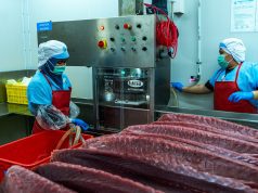 Warna Daging Tuna dan Selera Konsumen Tuna