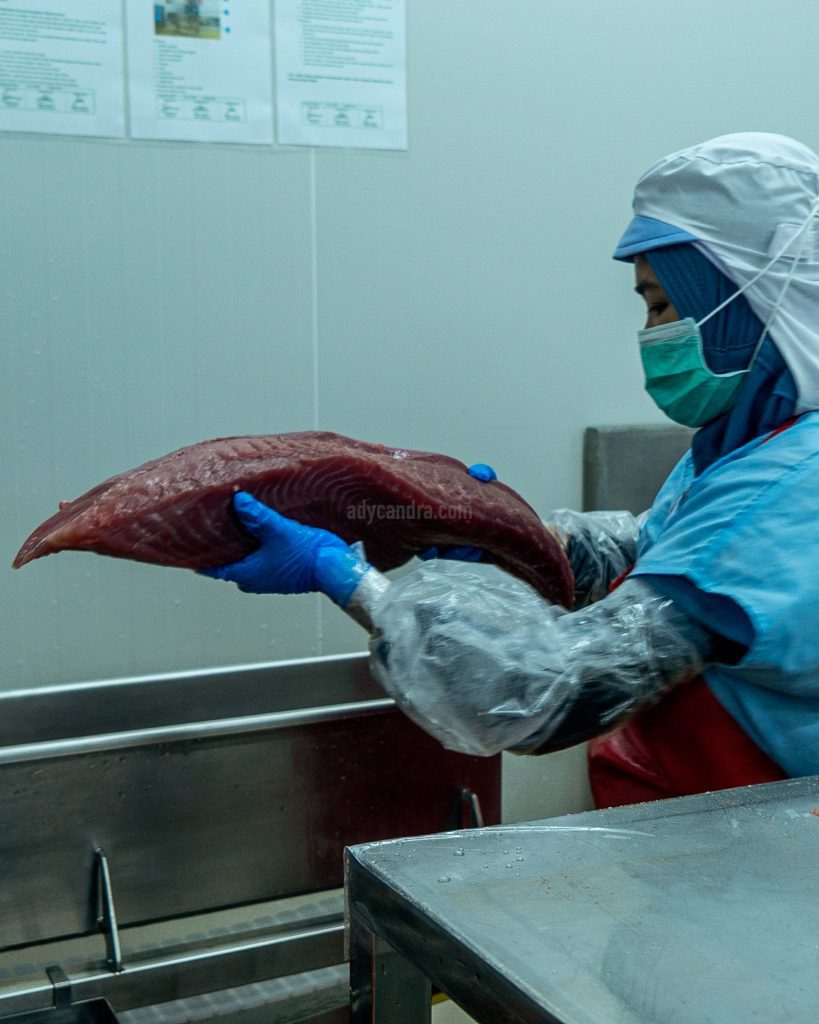 Tuna Injection 2 Tuna Injection 2