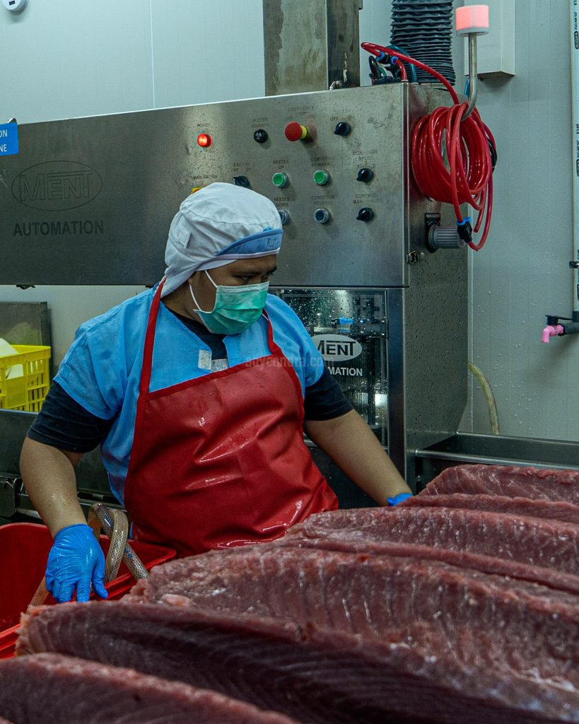 Tuna Injection Tuna Injection