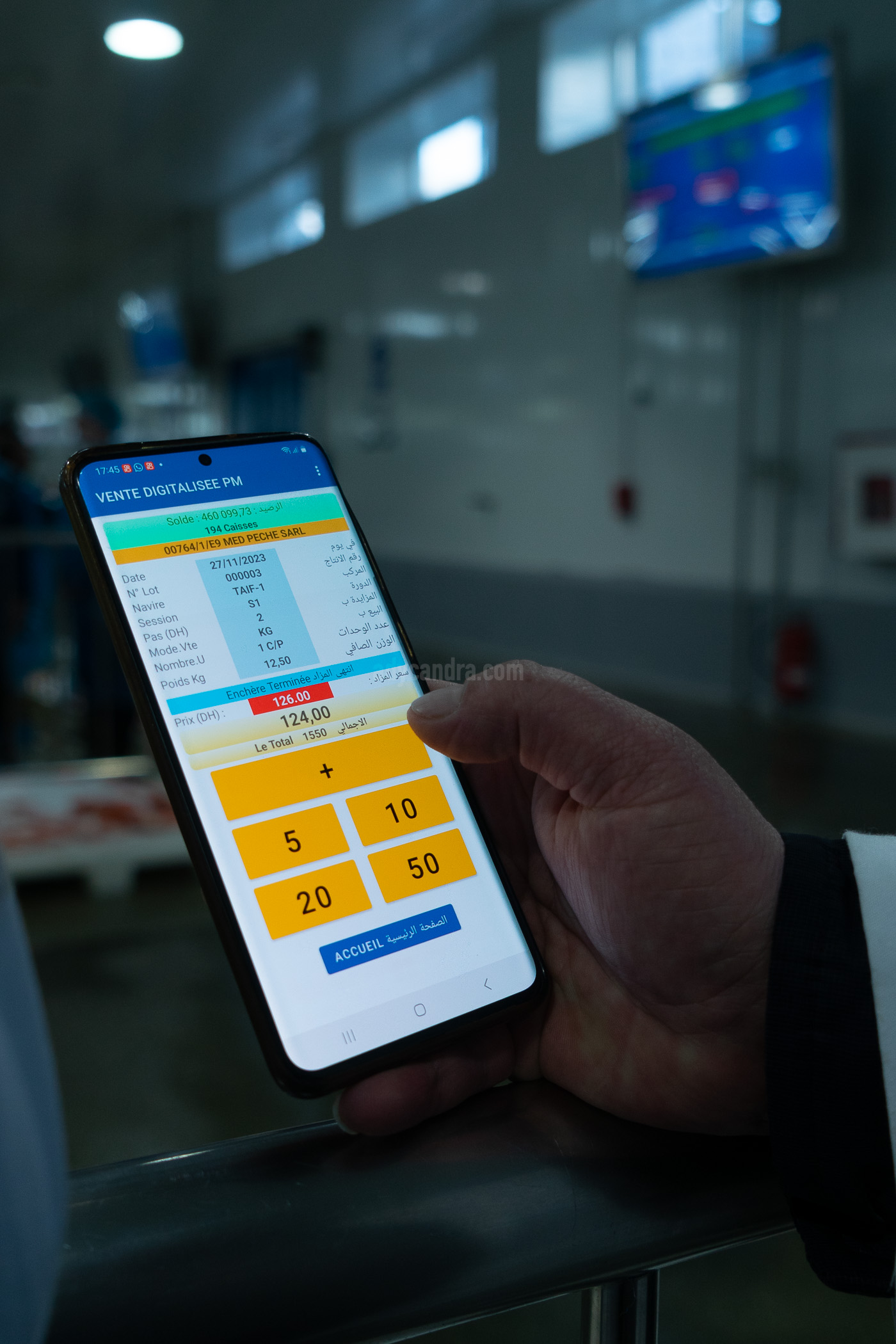 Fish Auction Transaction by Mobile Phone Fish Auction Transaction by Mobile Phone