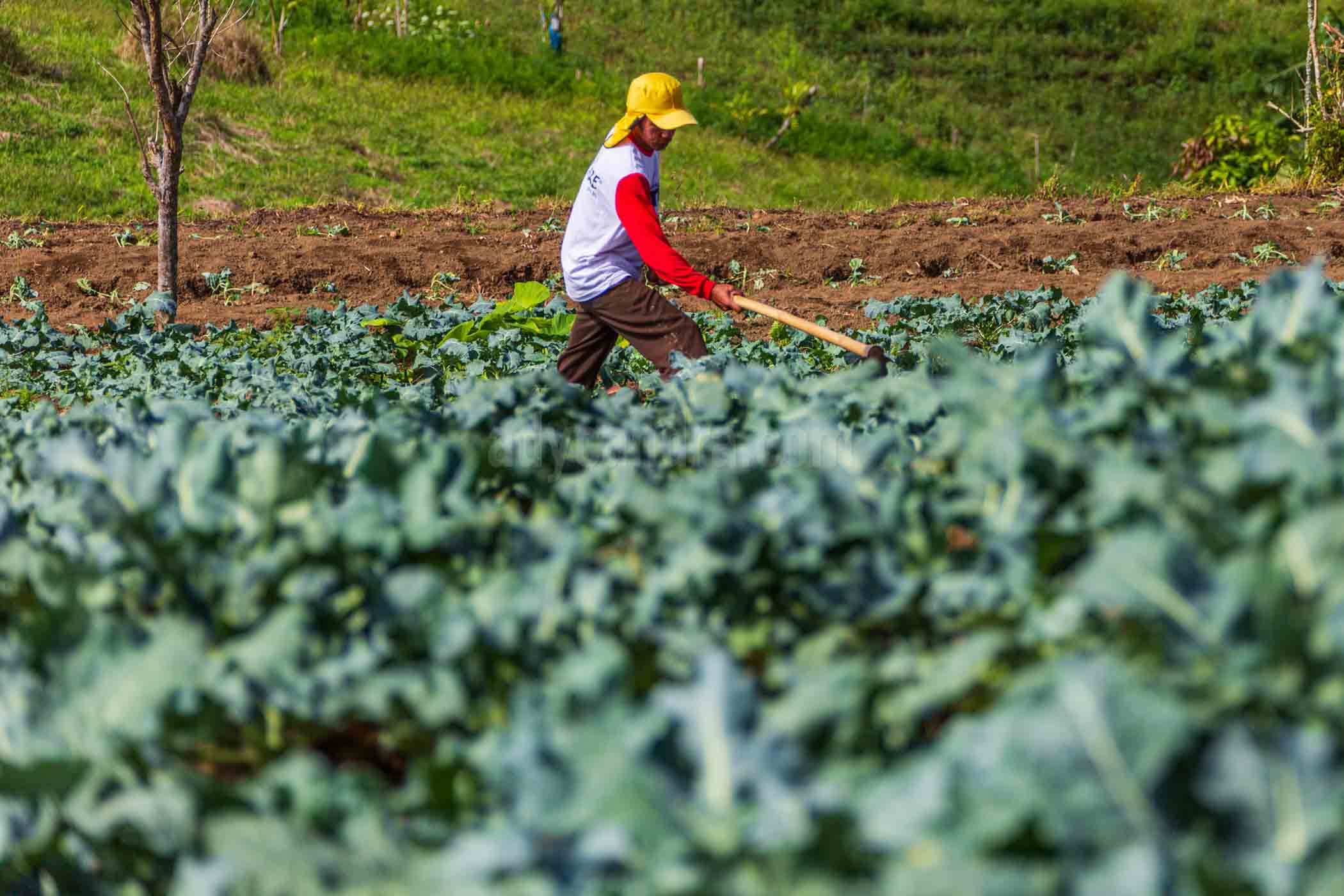 Instagram Working on Farmland