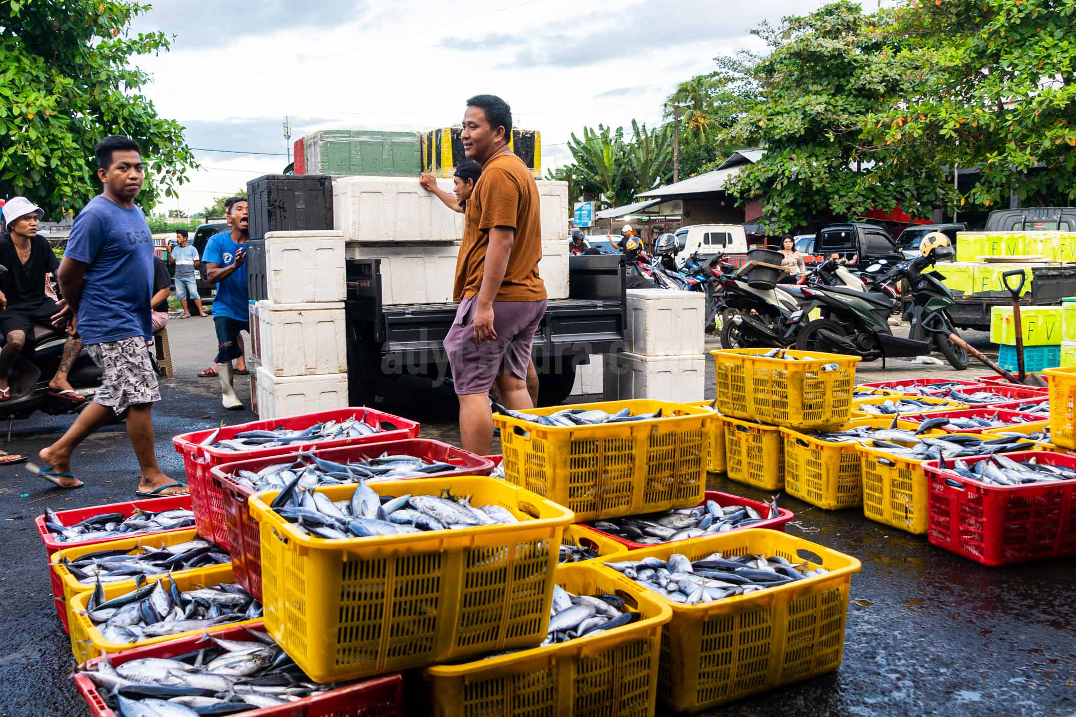 A Fishmonger in Tumumpa