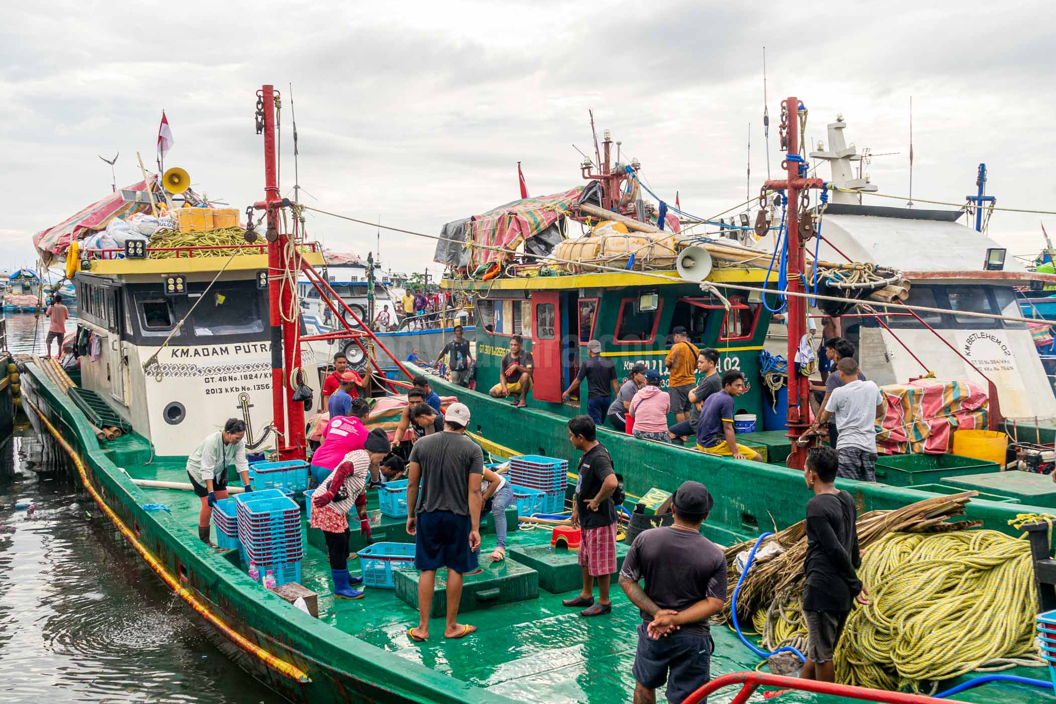 A Purseseine Boat in Tumumpa