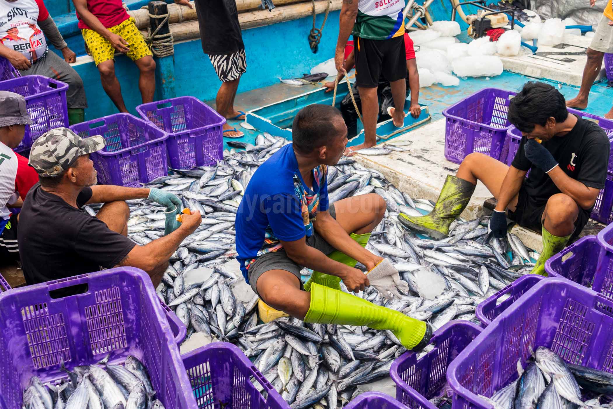 Fishing Sortir in Tumumpa