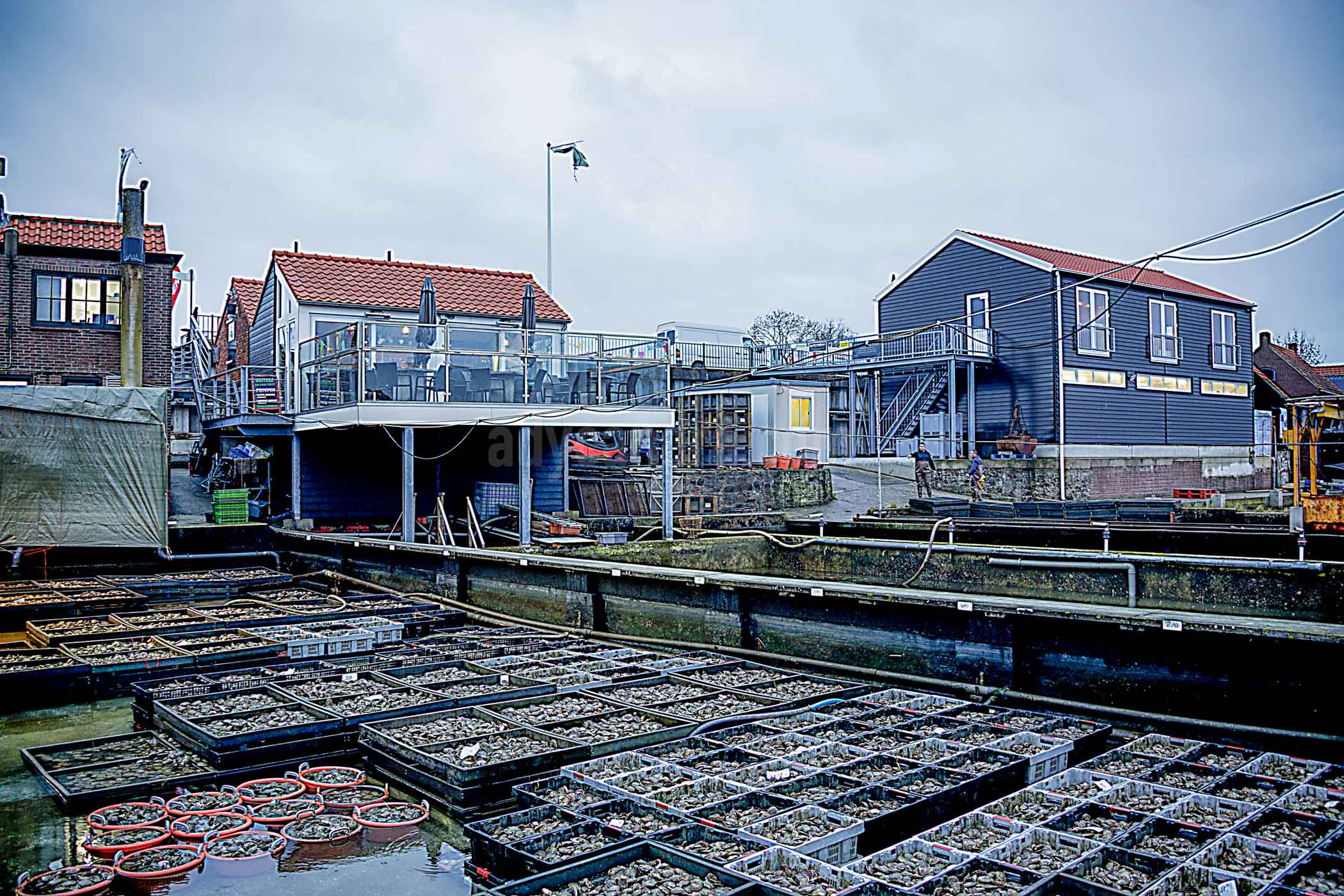 Yerseke Village is oyster farming center in the Netherlands which is completed with restaurant and museum