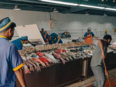 Jeddah Fish Market: Where the Red Sea Comes Ashore